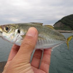 夜明け前から大量の釣果を夢見て